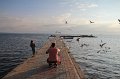IMG_3392