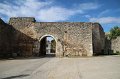 IMG_3501