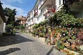 IMG_3516