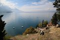 IMG_3532