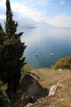 IMG_3533