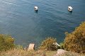 IMG_3537