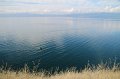 IMG_3557