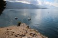 IMG_3575