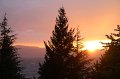 IMG_3629