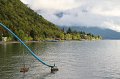 IMG_3645