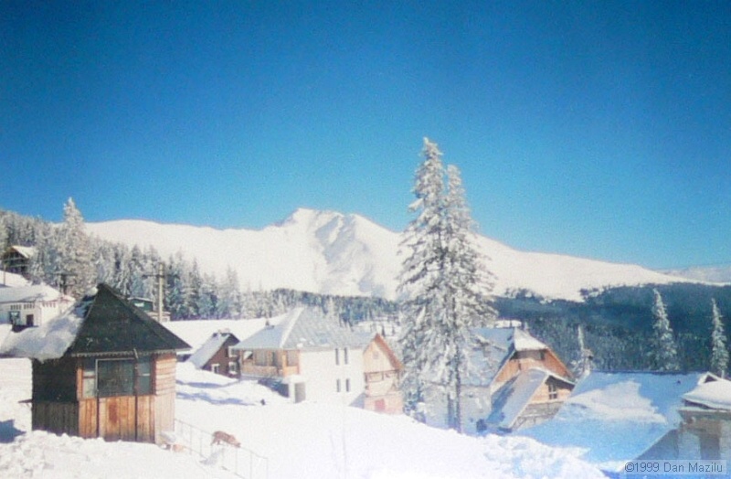02.jpg
