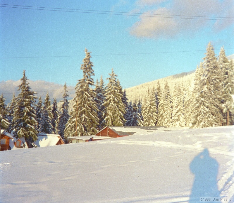 IMG1868.jpg