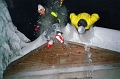 IMG1863