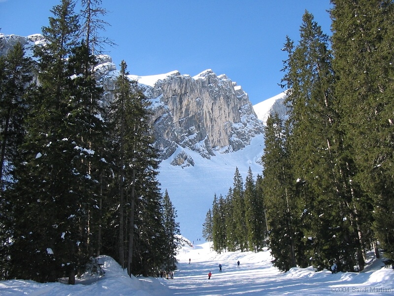 IMG_0795.JPG