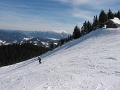 IMG_0806