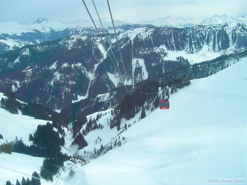 DSCN1493.JPG