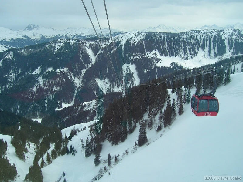 DSCN1494.JPG