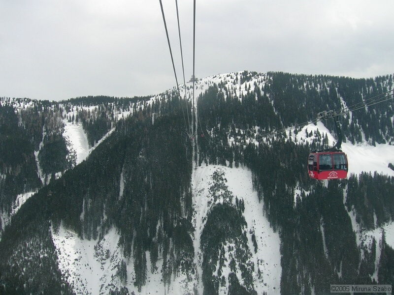 DSCN1497.JPG