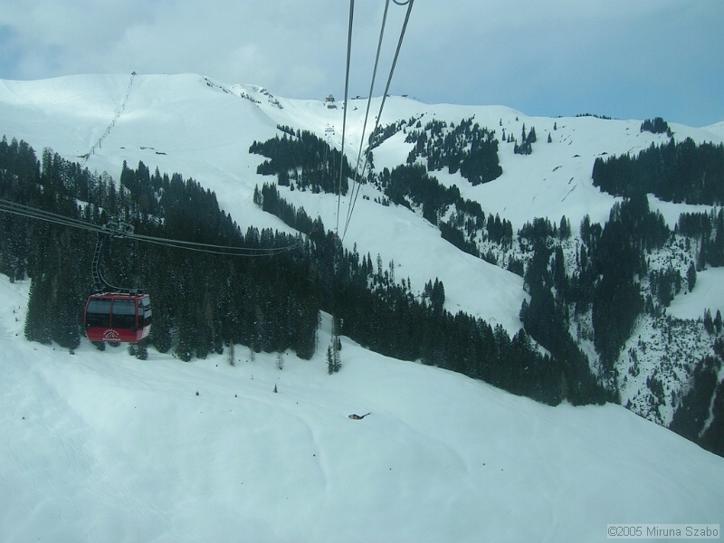 DSCN1498.JPG