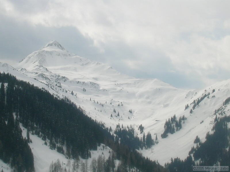 DSCN1502.JPG