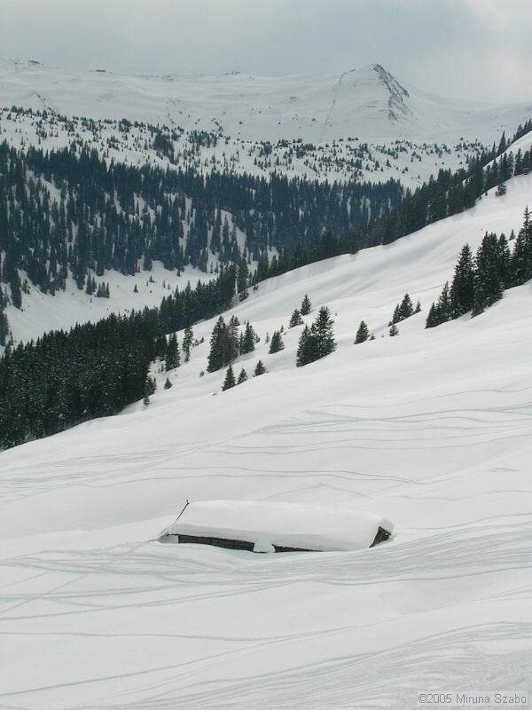 DSCN1505.JPG