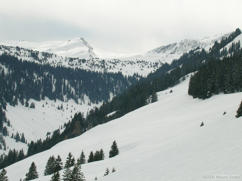 DSCN1514.JPG