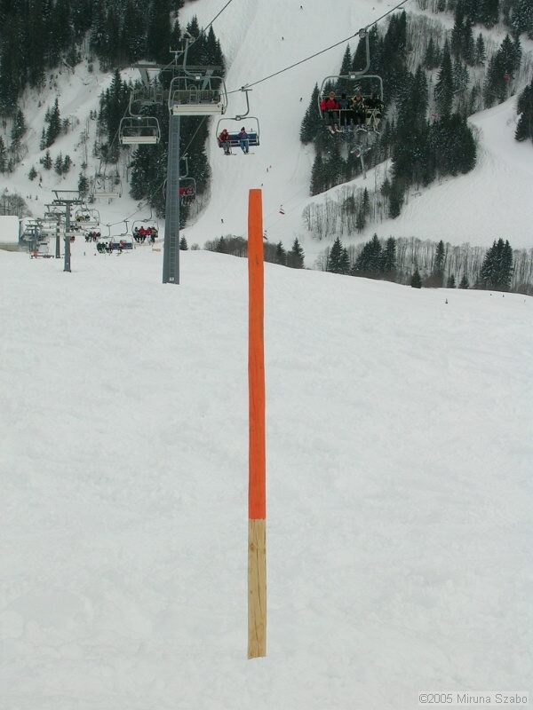 DSCN1516.JPG