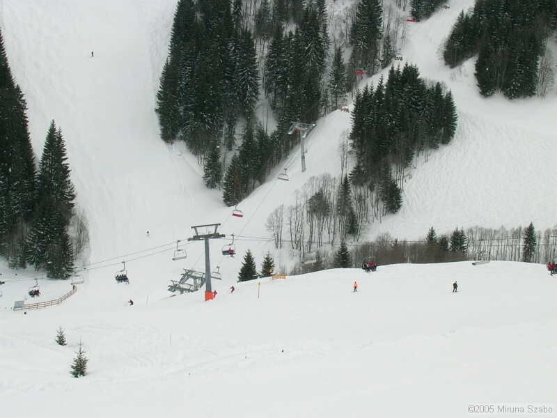 DSCN1517.JPG