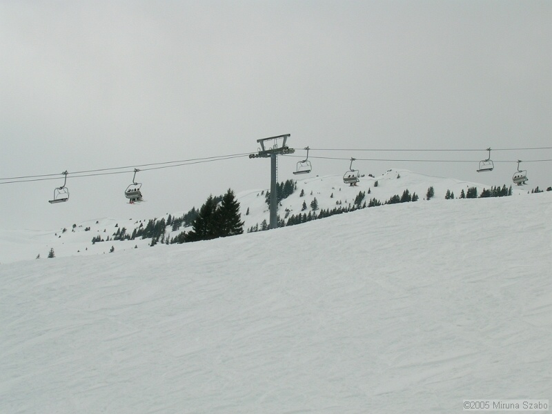DSCN1518.JPG