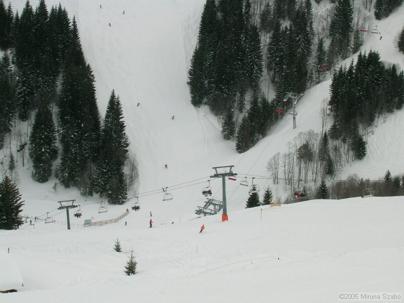 DSCN1524.JPG