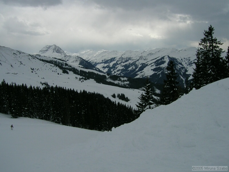 DSCN1526.JPG