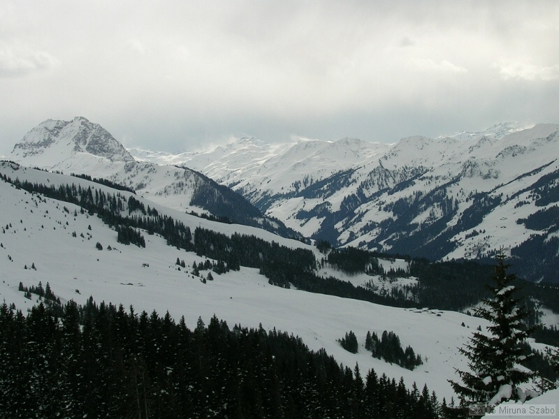 DSCN1527.JPG