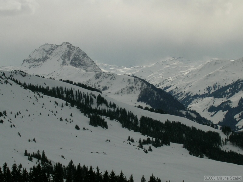 DSCN1530.JPG