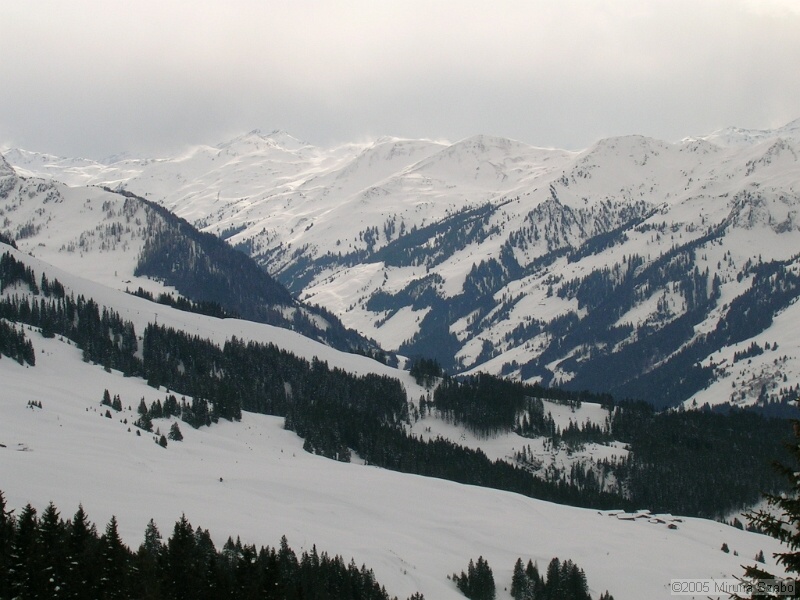DSCN1533.JPG