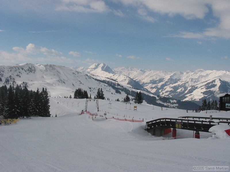 IMG_4442.JPG