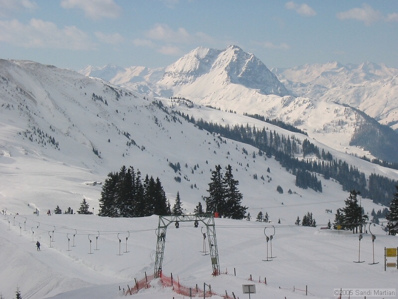 IMG_4443.JPG