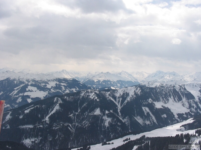 IMG_4450.JPG
