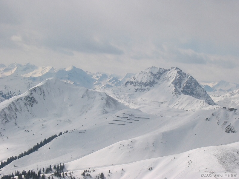 IMG_4453.JPG