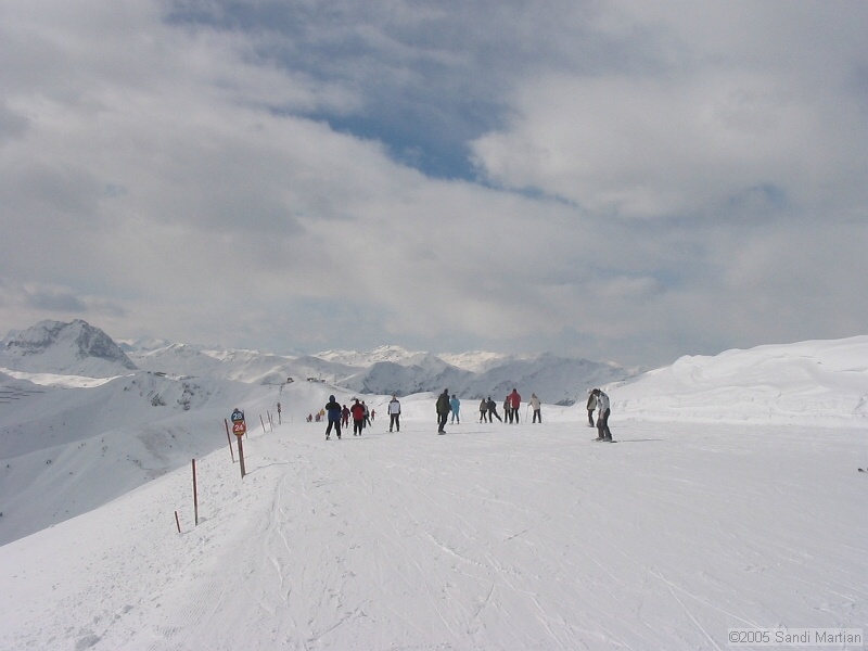 IMG_4455.JPG