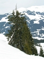 DSCN1509