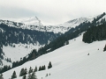 DSCN1514