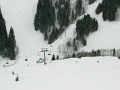 DSCN1517
