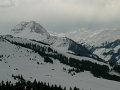 DSCN1530