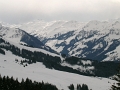 DSCN1533