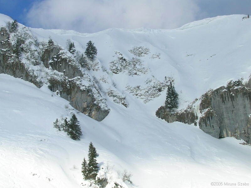 DSCN1569.JPG