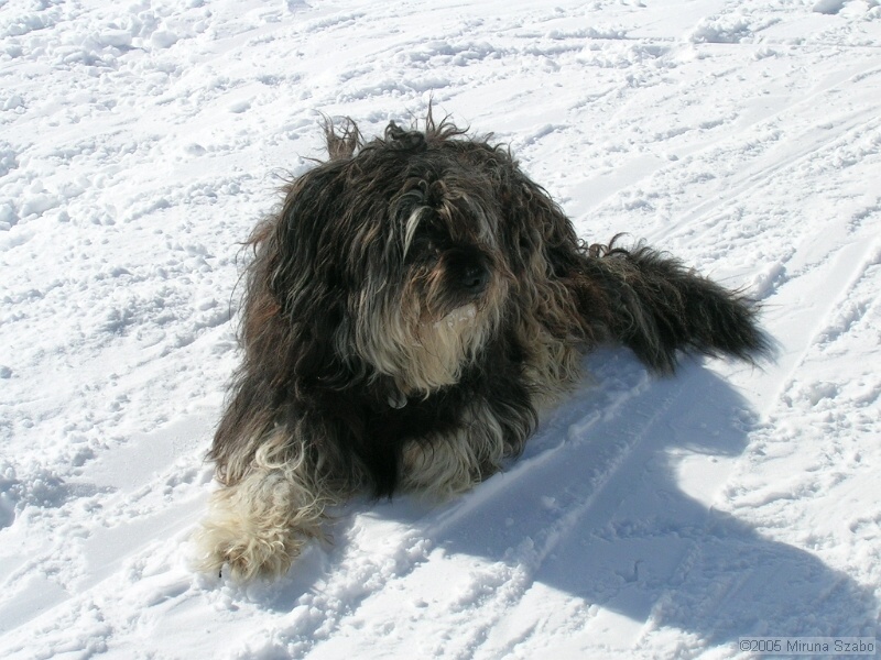DSCN1575.JPG