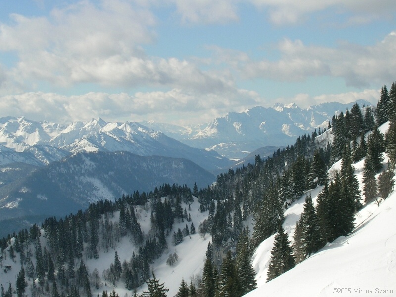 DSCN1592.JPG