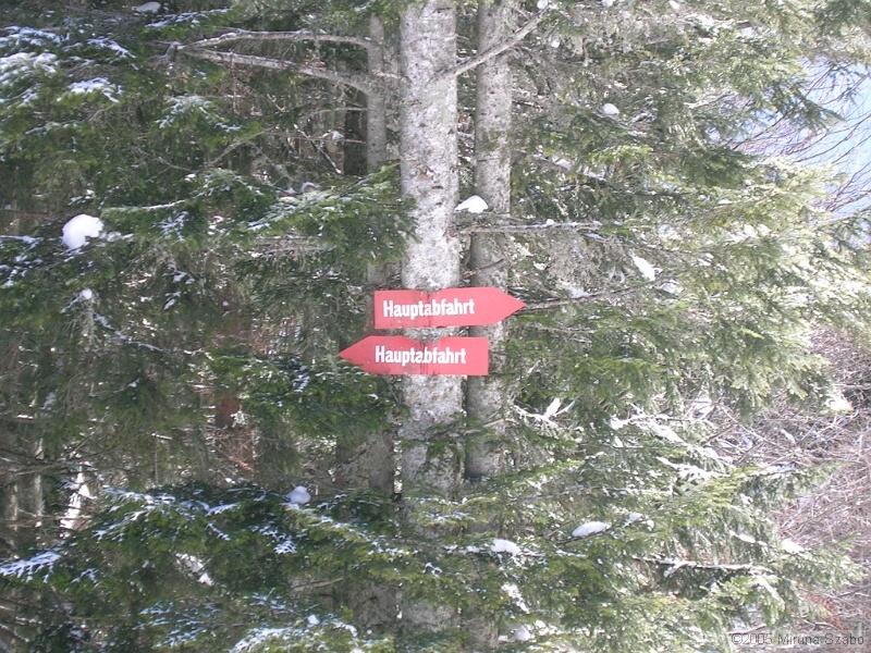 DSCN1607.JPG