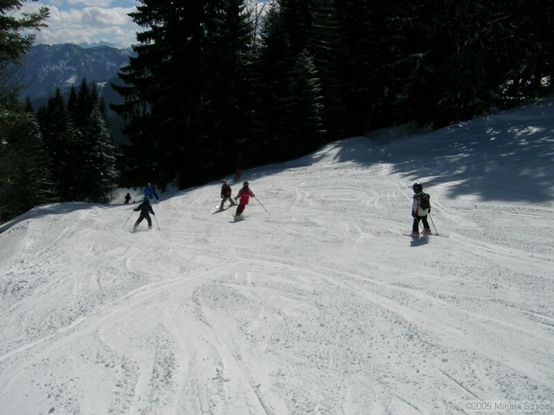 DSCN1608.JPG
