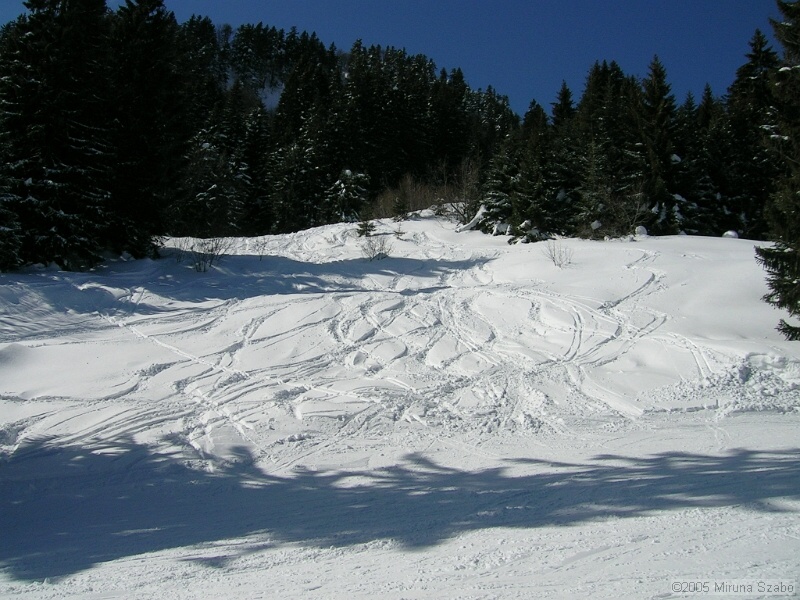 DSCN1609.JPG