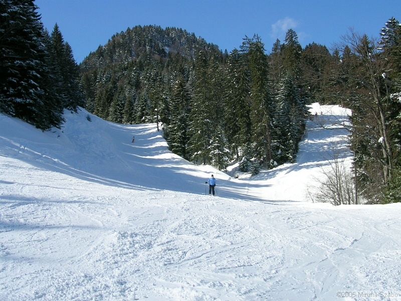 DSCN1612.JPG