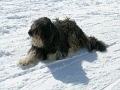 DSCN1573