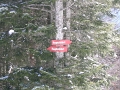 DSCN1607