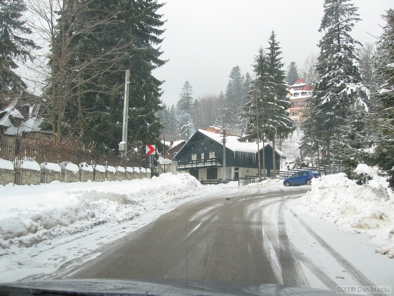 IMG_2437.jpg
